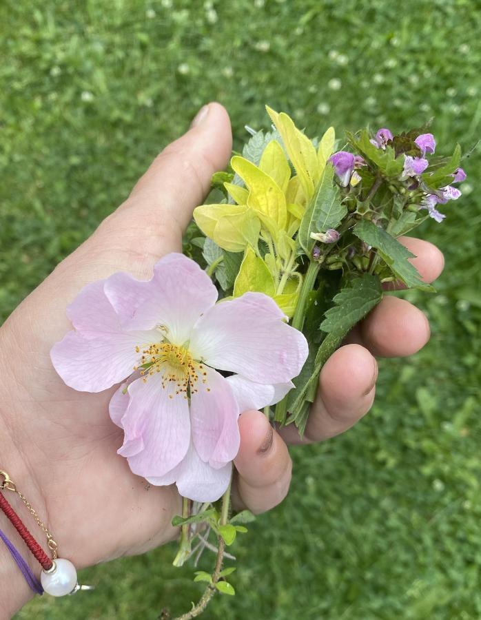 도노발리 Rozpravkovy Domcek Zvoncek 빌라 외부 사진